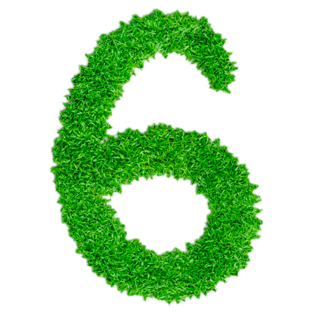 Numerology Number 6